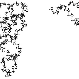 320x320 Stereo Drawing Of Backbone Atoms