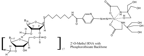 500x196 Table, Hydrazinonicotinamidetricine Eighteen Nucleotide