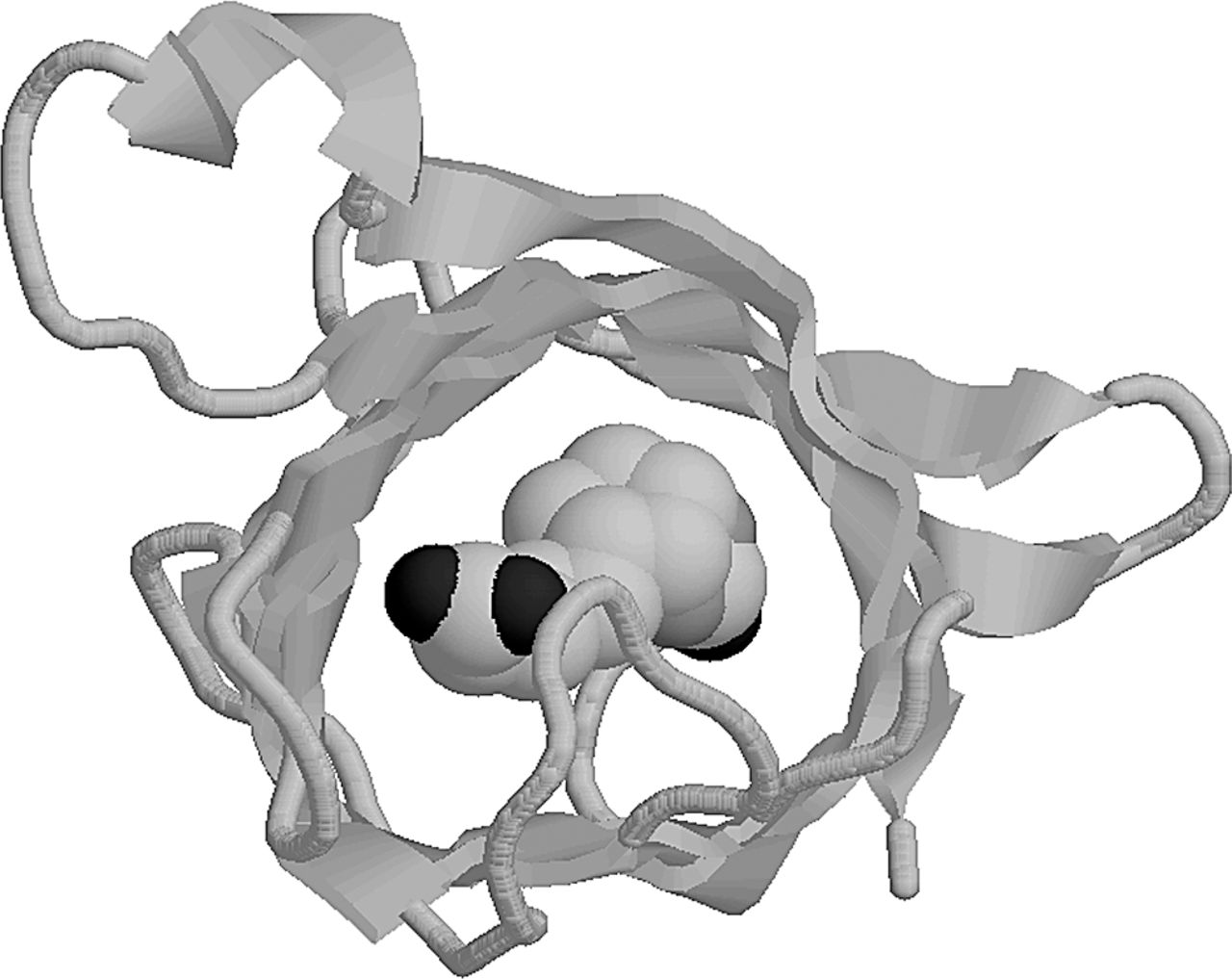 1280x1017 Understanding Reversible Molecular Binding The American Biology