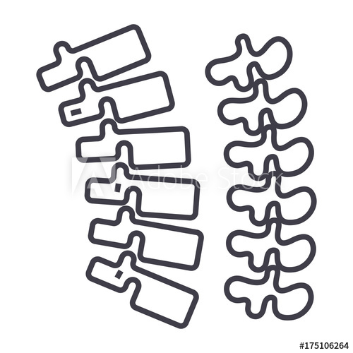 500x500 Backbone,spine Vector Line Icon, Sign, Illustration On White