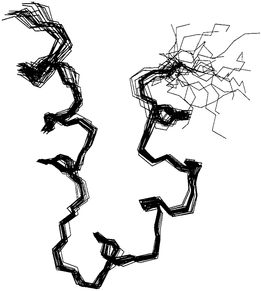 850x946 Backbone Atoms Of Pthrp