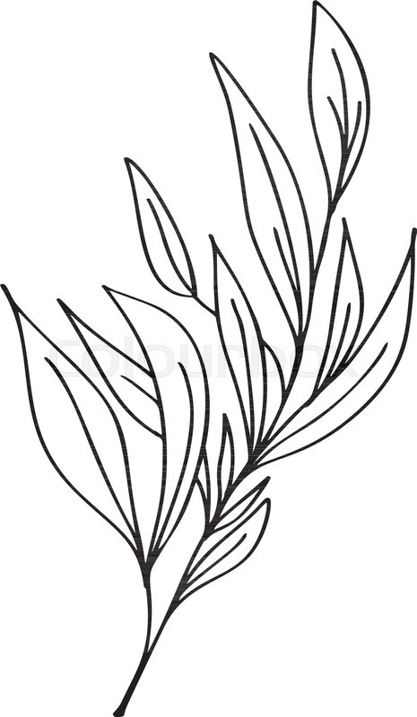 465x800 Hand Drawn Modern Flowers Drawing And Stock Vector Colourbox