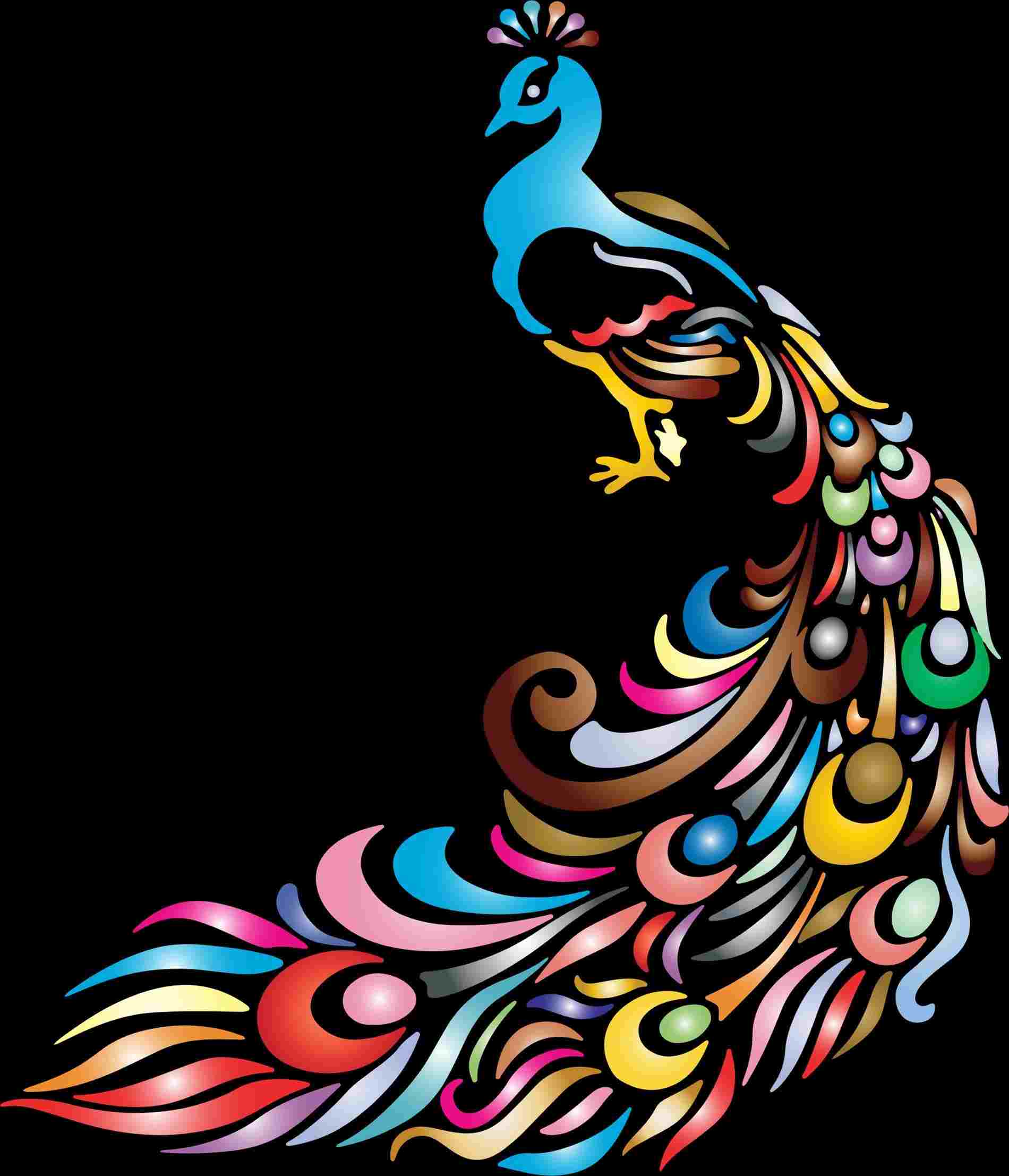 1900x2214 Clipart Simple Colorful Peacock Drawing Png Chromatic Peacock No