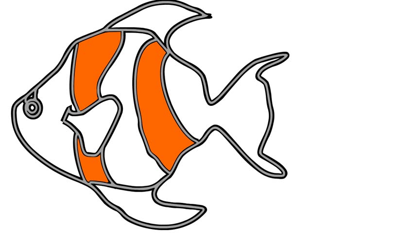 852x480 Of Moving Fish On White Background