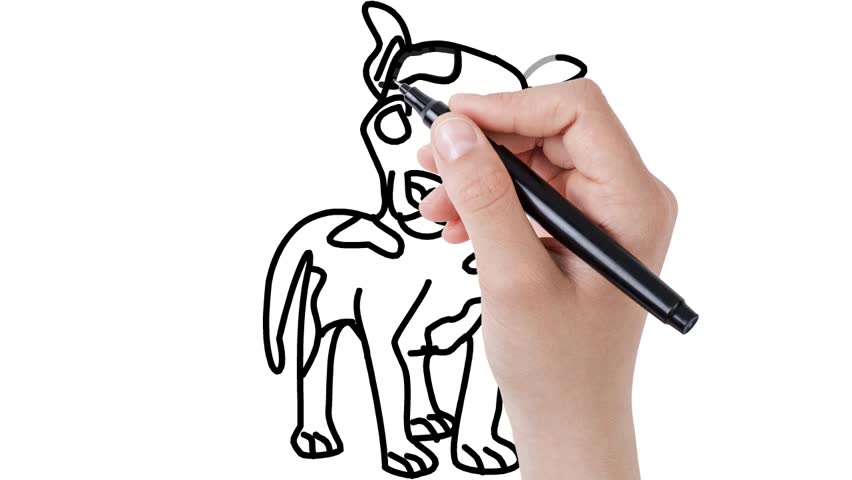 852x480 Sketching Dog On Whiteboard Background Animated