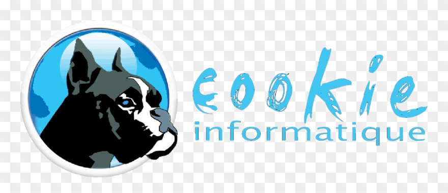 880x380 Backyard Safari Turbo Bug Vacuum Vans Caballero