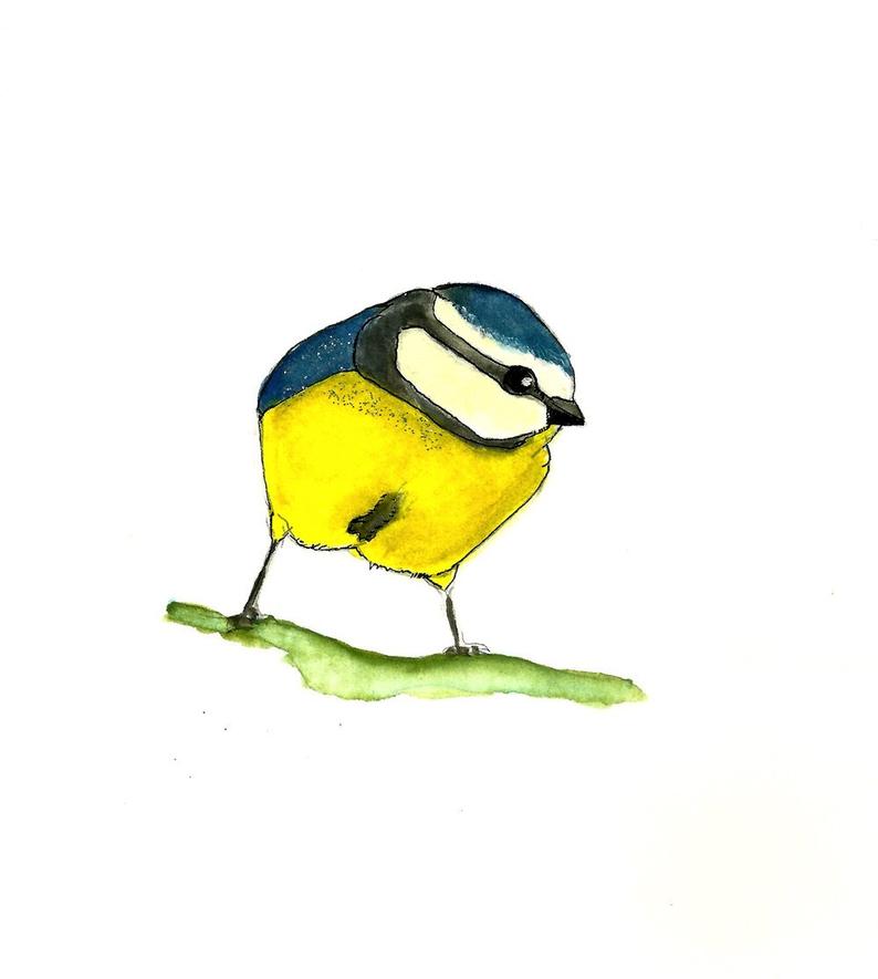 794x885 Beautiful Backyard Yellow And Blue Bird Lover Chickadee Etsy