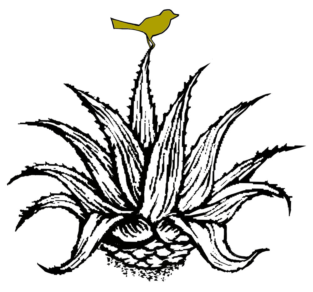 1000x933 Nido's Backyard