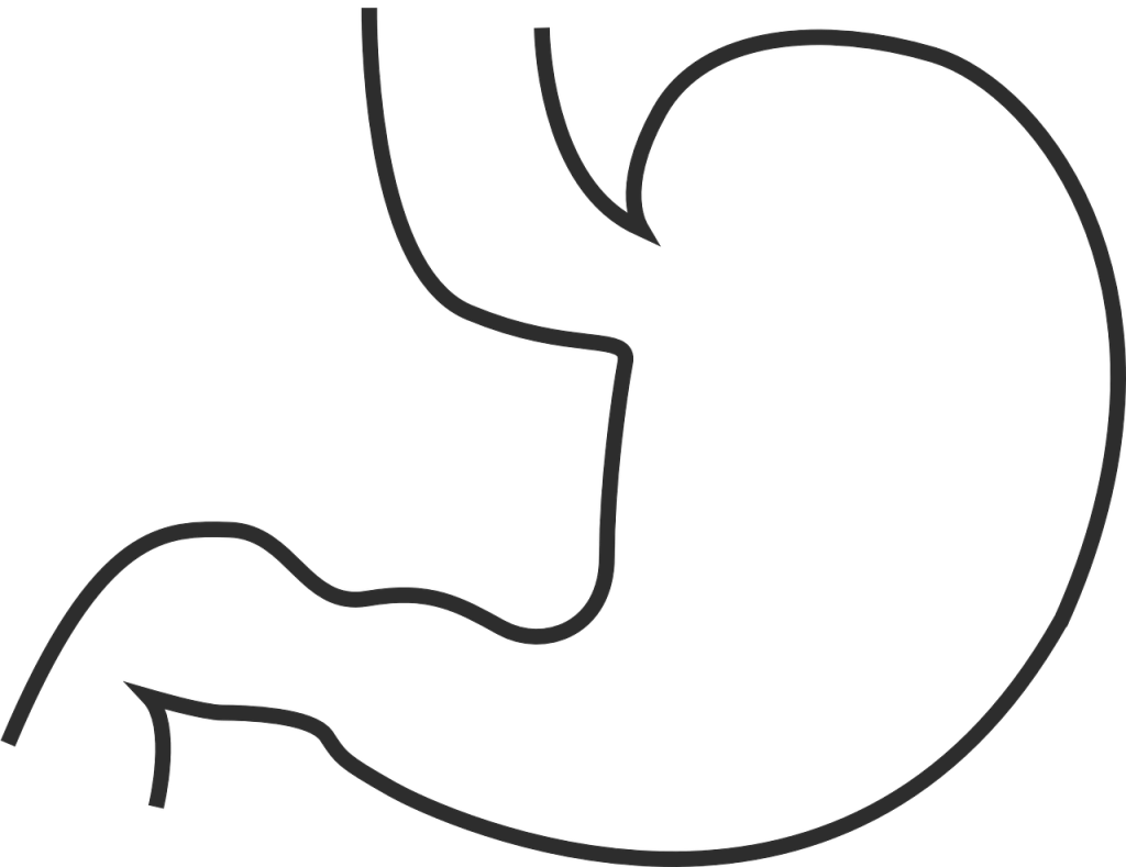 1024x789 Bacteria Drawing Art, Picture