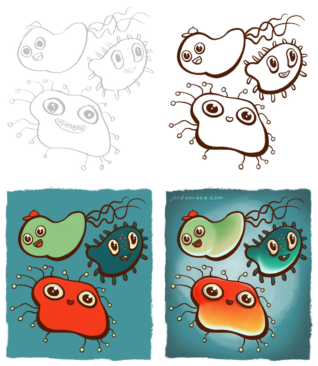 1024x1176 Good Bacteria' Drawing Process