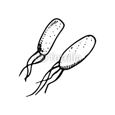 400x400 hand drawn bacteria doodle icon hand drawn black sketch sign