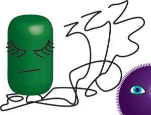 300x229 sleeper cells how to fight bacteria that play dead new scientist