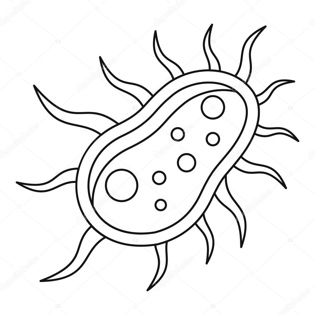 Bacteria Drawing Free download on ClipArtMag