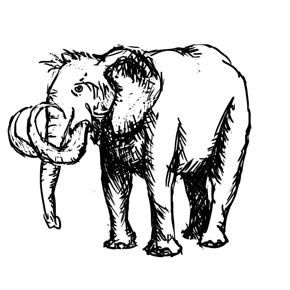 1000x1000 Elephant Bad Drawings