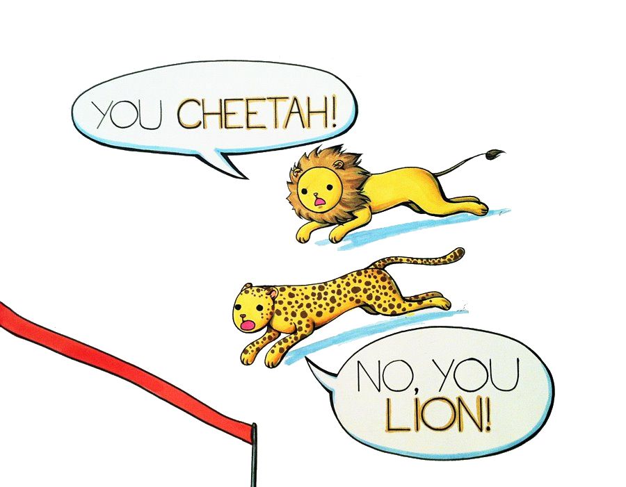 900x701 You Cheetah!