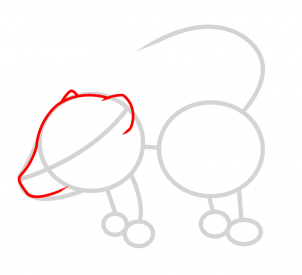 302x275 Draw A Badger For Kids, Step