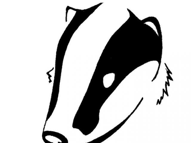 640x480 Free Badger Clipart, Download Free Clip Art