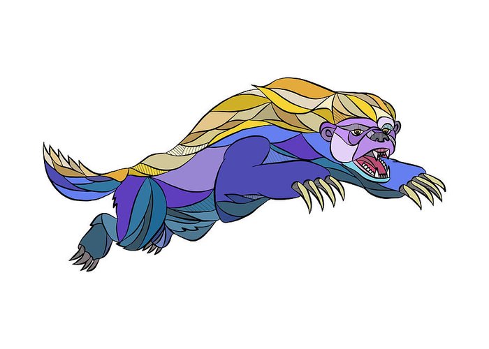 700x500 Honey Badger Jumping Drawing Greeting Card For Sale