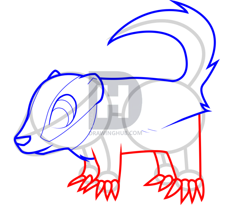 790x720 How To Draw A Badger For Kids, Step