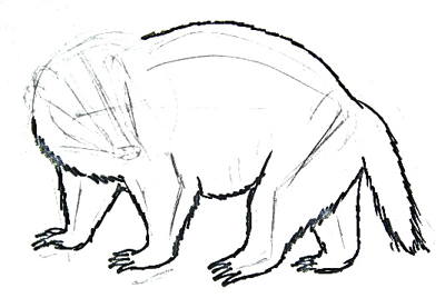 400x268 How To Draw A Budger