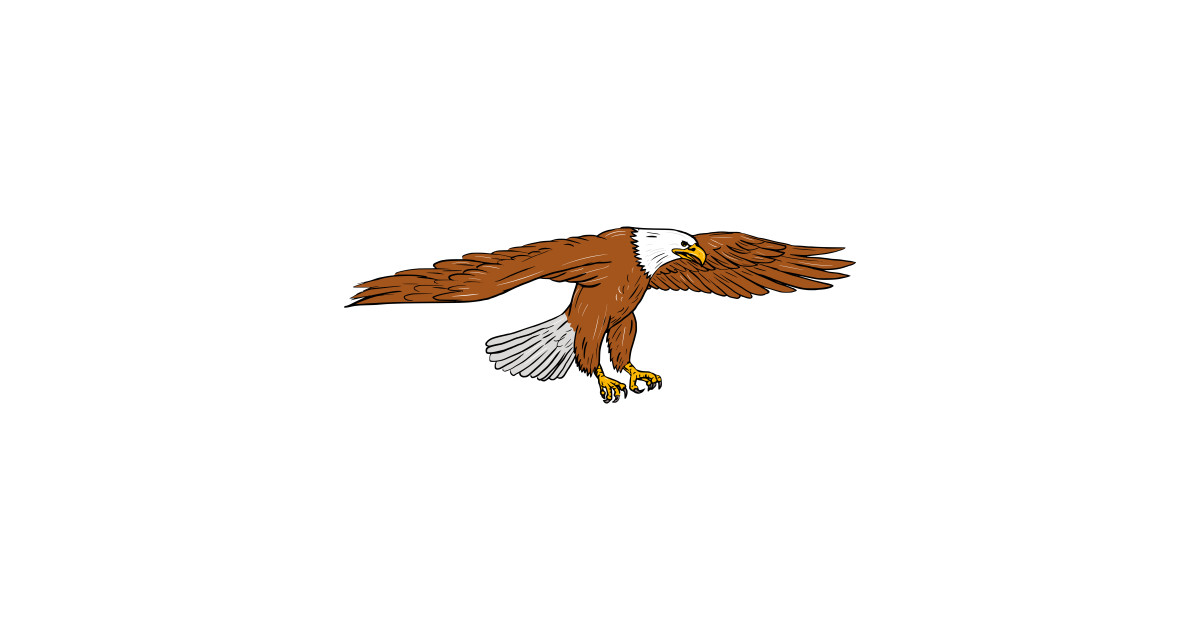1200x630 bald eagle swooping drawing