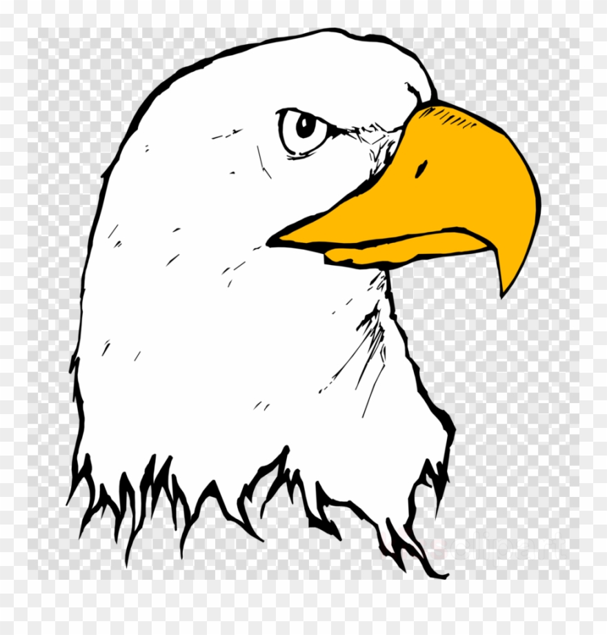 880x920 Download Eagle Beak Clipart Bald Eagle Clip Art Eagle