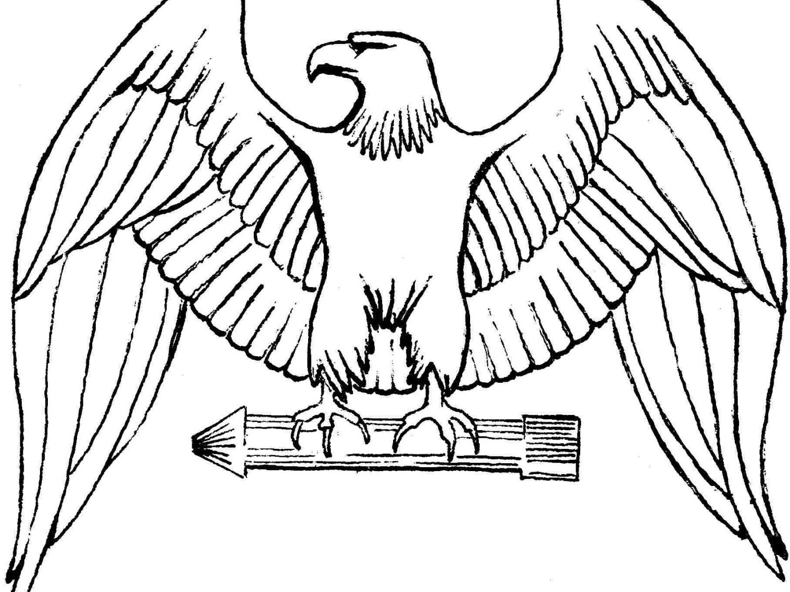 Printable Bald Eagle Template