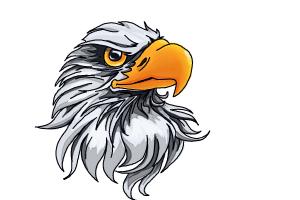 300x200 How To Draw A Bald Eagle