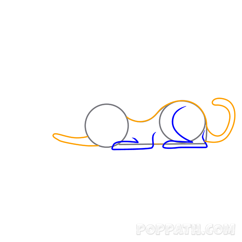 800x800 How To Draw A Cat With A Yarn Ball Pop Path
