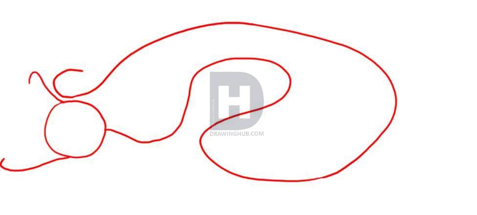 976x441 How To Draw A Python, Step