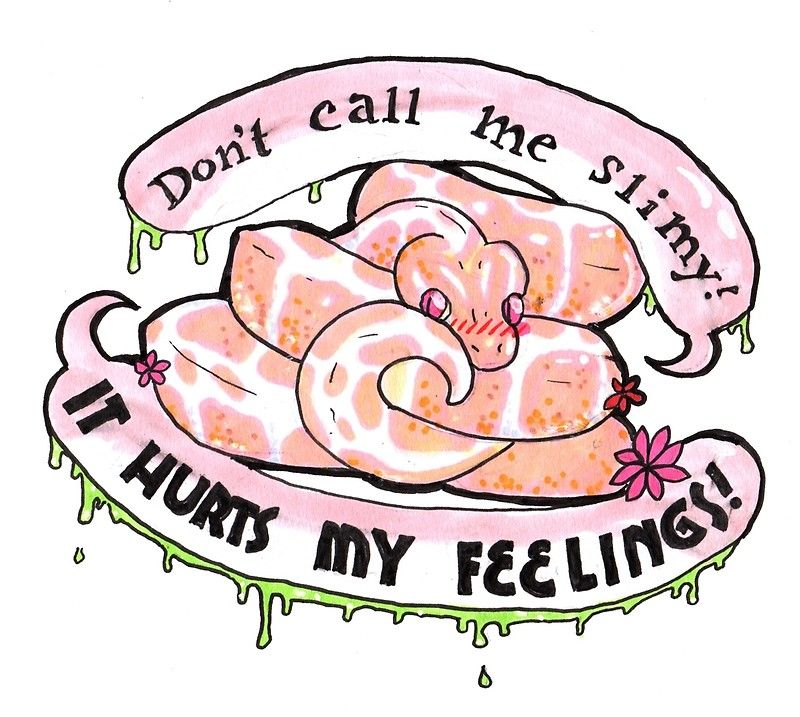 800x717 Image Result For Ball Python Snakes And Lizards Cute Snake