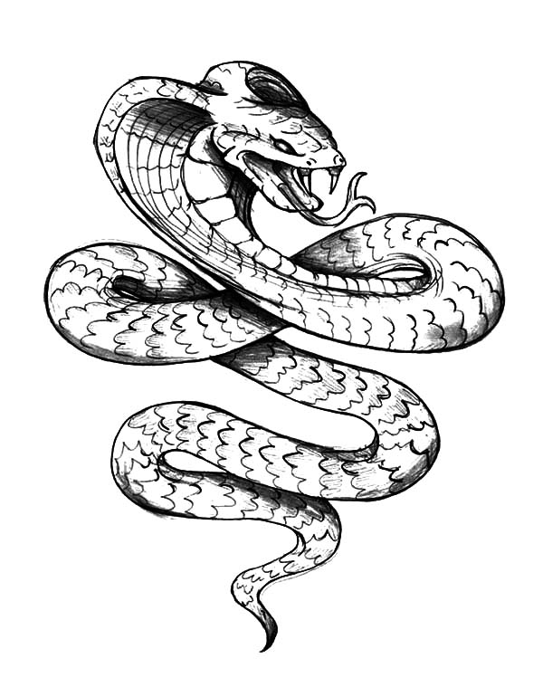 600x759 reptiles coloring pages reptiles coloring pages trend ball python
