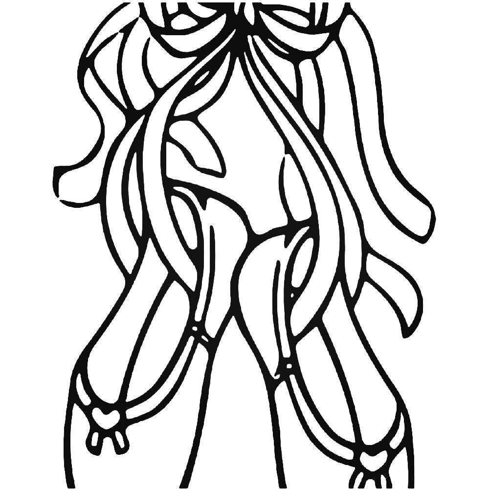 1000x1000 Ballet Shoes Cartoon Drawing Tutorial Ballerina Pointe Easy Soft