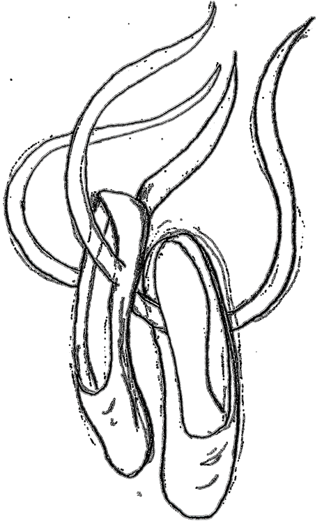 462x750 Drawing Movie Ballerina Transparent Png Clipart Free Download