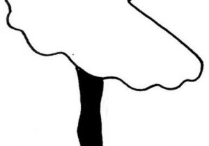 300x210 Ballerina Drawing Step