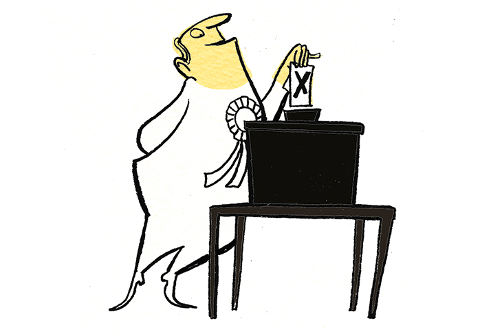 730x486 How To Rig An Election The Spectator