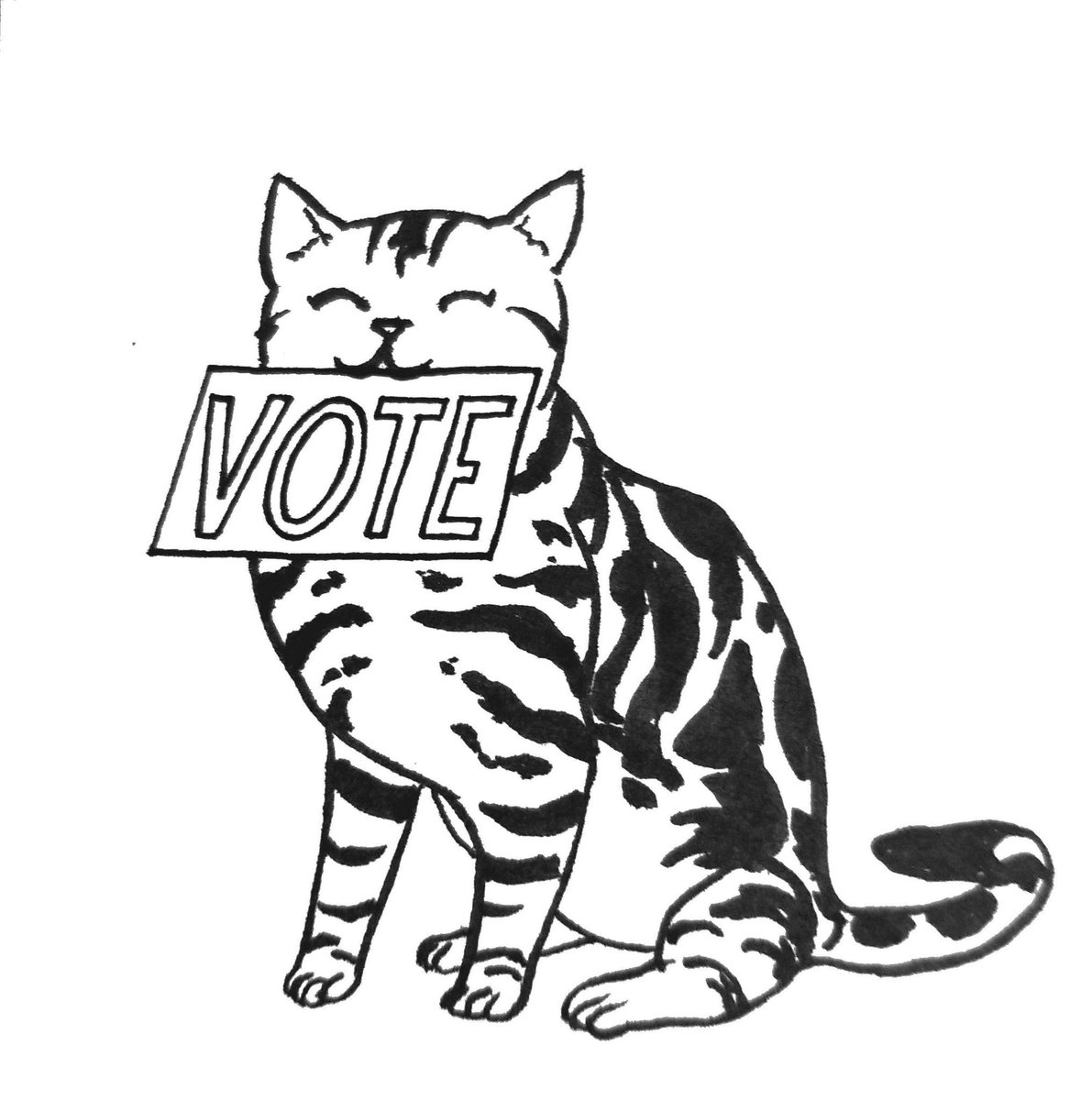 1191x1200 karen luk v twitter vote! says american shorthair cat also