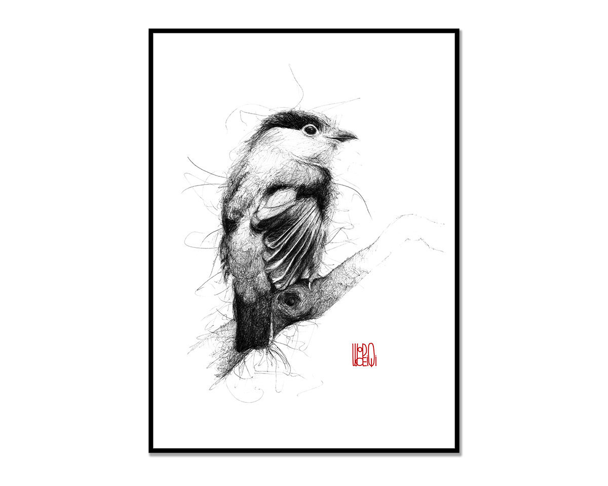 1200x959 Bird Print Black Ballpoint Pen Drawing Poster Wall Art Etsy