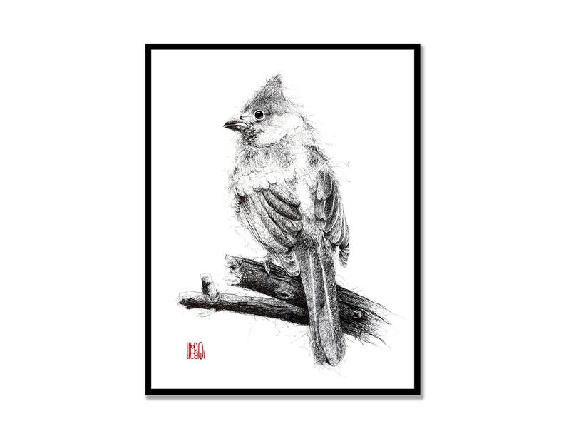 794x615 Bird Print Poster Ballpoint Pen Drawing Wall Art Decoration Etsy