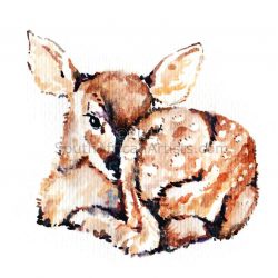 250x250 Bambi Drawing Cute In Color Line Step Cartoon Images Iydunetwork