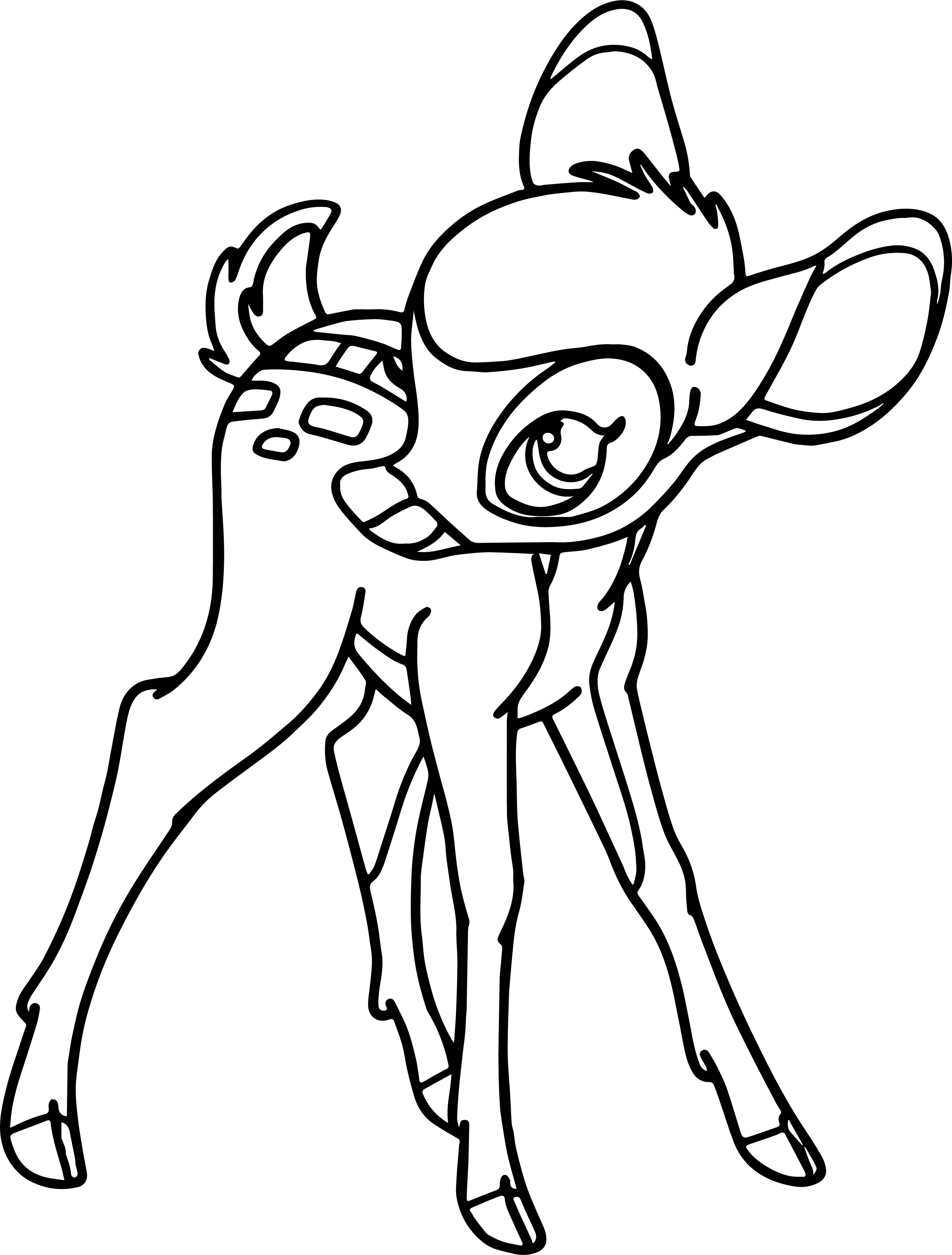 3057x4030 Cute Bambi Coloring Pages