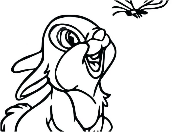 728x536 Thumper And Bambi Coloring Pages Having Fun For Adults Flowers