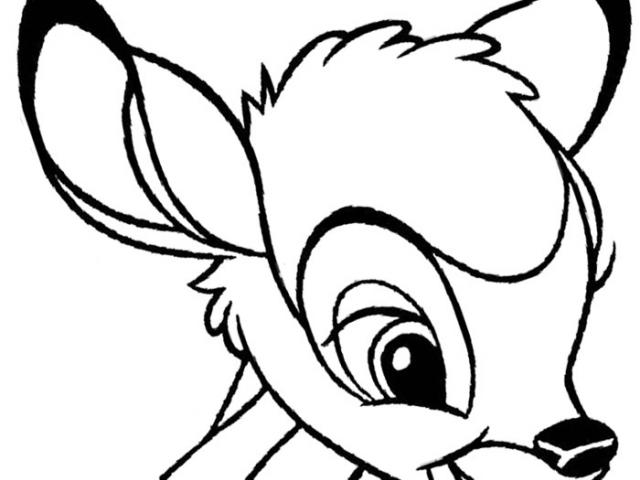 640x480 Opossum Clipart Bambi Free Clip Art Stock Illustrations