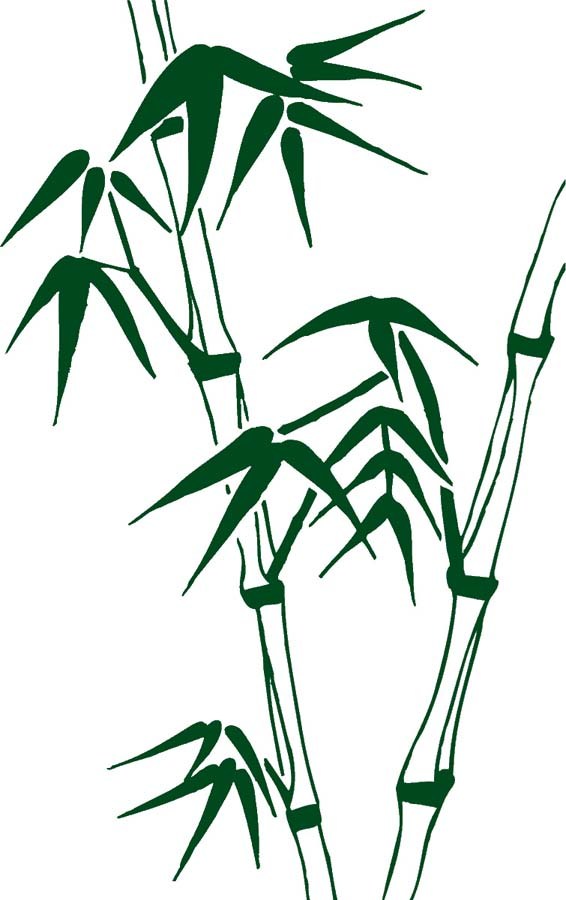 566x900 Bamboo Drawing Tree Tattoo