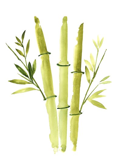 389x550 Bamboo Painting Abstract Watercolor Botanical Illustration Drawing