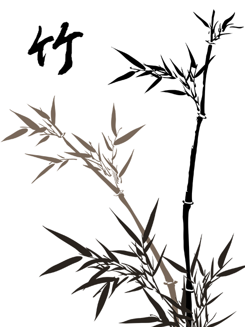 490x653 Bamboo Drawing Free Download