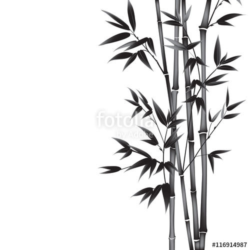 500x500 Bamboo Ink Drawing Stock Image And Royalty Free Vector