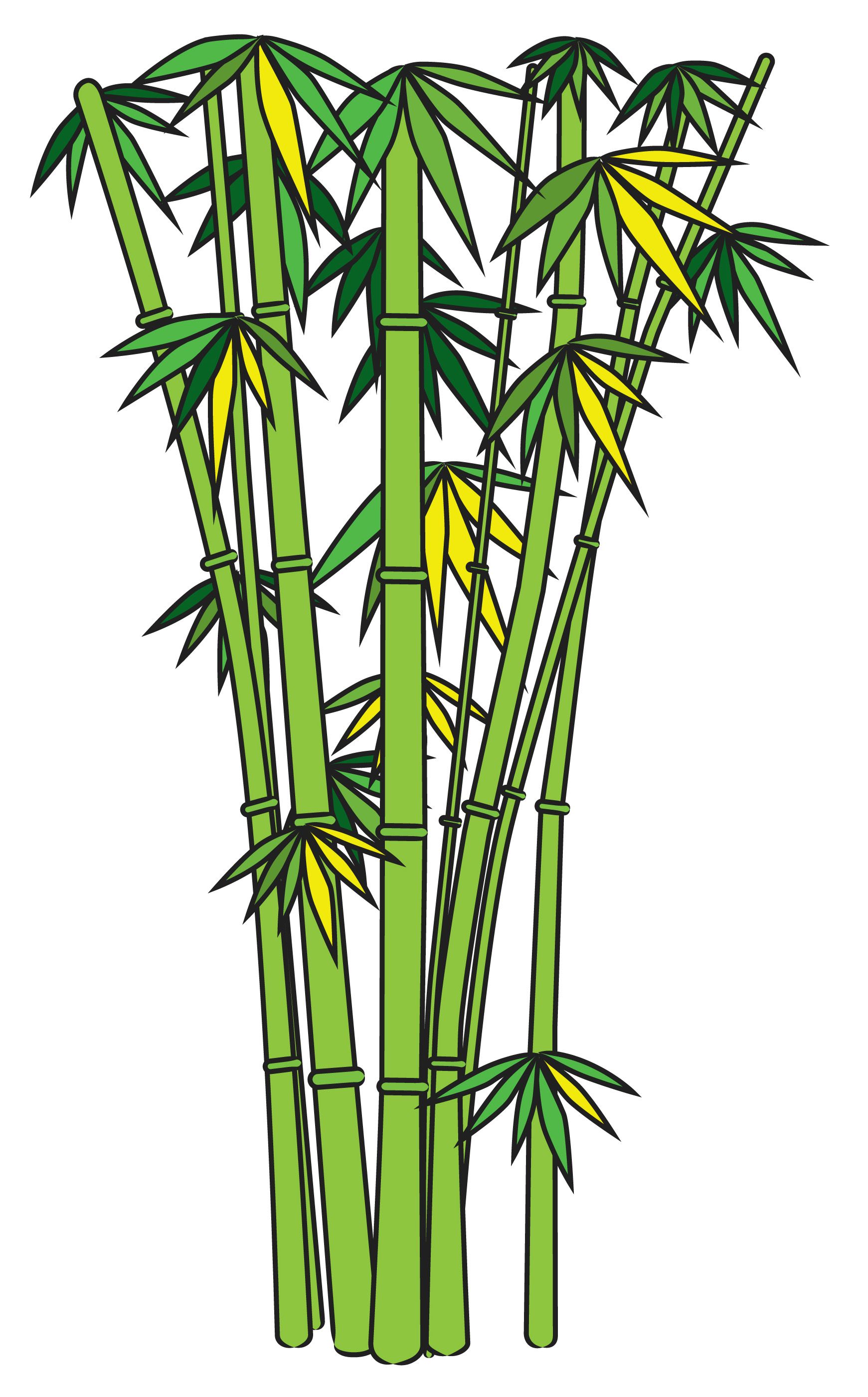 1741x2802 draw bamboo creative bamboo drawing, panda drawing, garden drawing