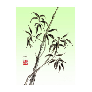 300x300 Bamboo Drawing Mixed Media