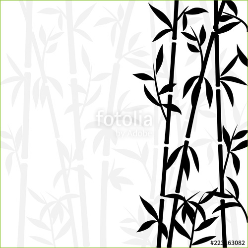 500x500 bamboo background japanese asian plant wallpaper grass bamboo